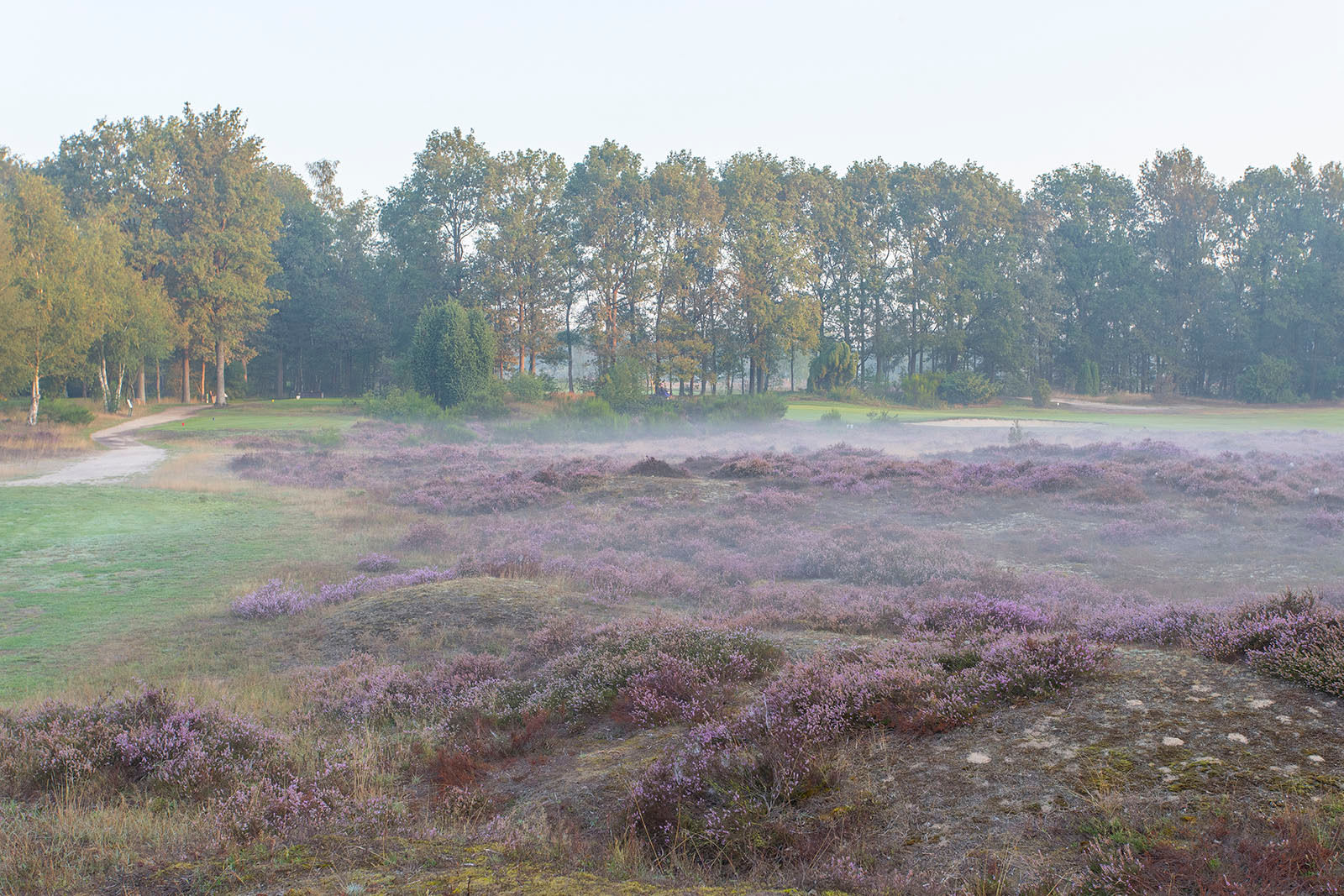 Gelpenberg golfbaan aalden